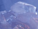 Jornadas sobre el manejo de analizadores de refrigeración