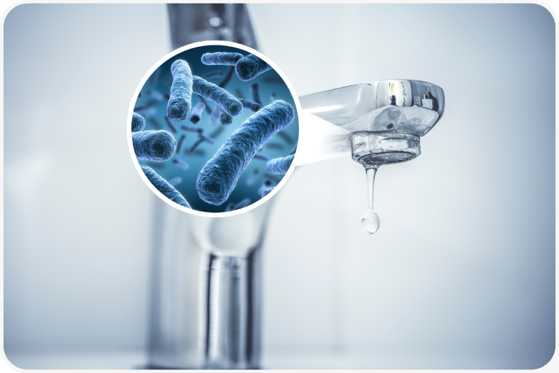 Prevencion de la Bacteria Legionella