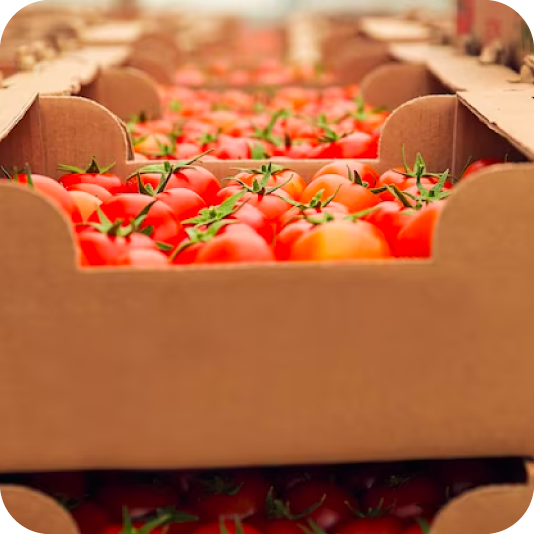 Transporte de Alimentos