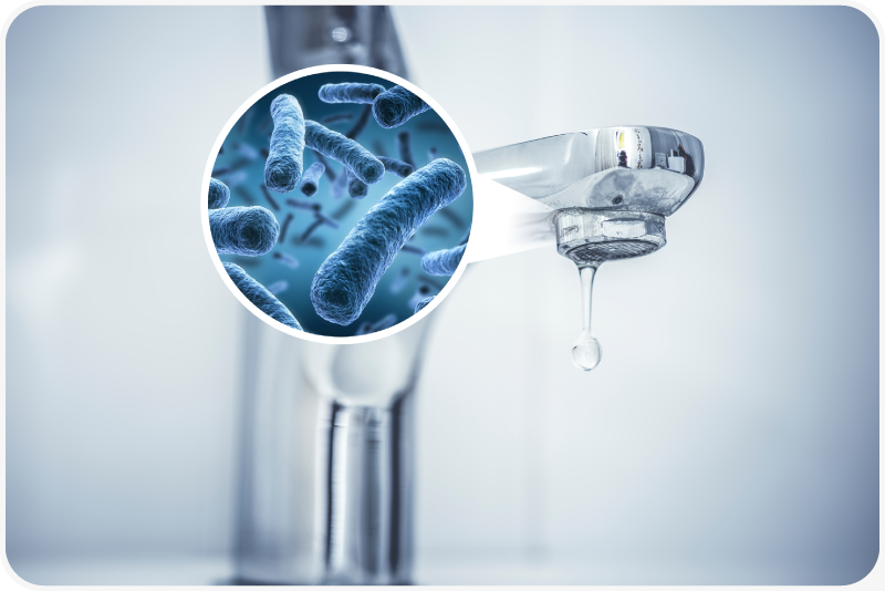 Instrumentos para la prevención de la bacteria Legionella Instrumentos para la prevención de la bacteria Legionella